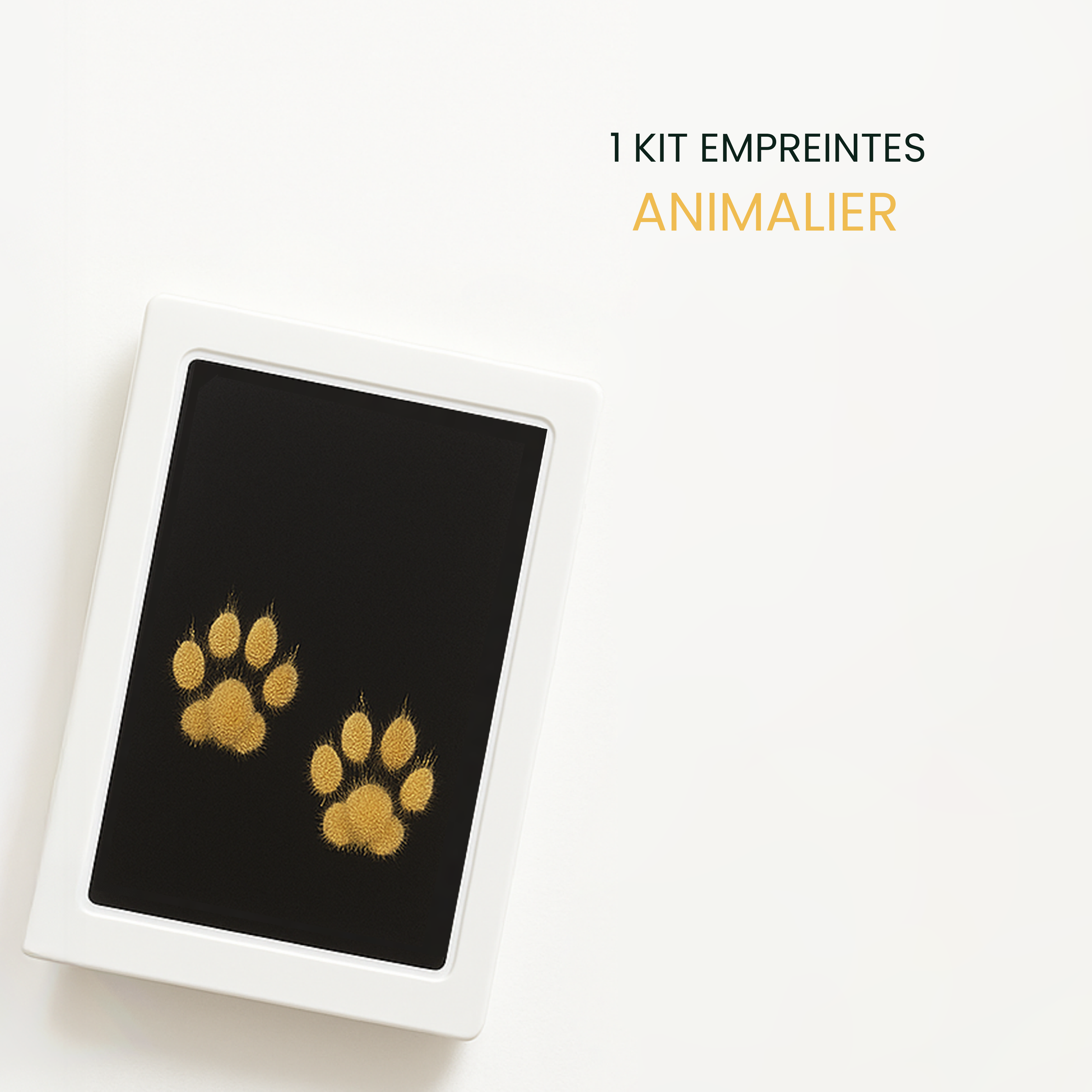 Kit d'empreintes de pattes de chien | Kit créatif d'empreintes de pattes de chien – Kit d'empreintes de pattes d'animaux, kit d'empreintes de pattes de chat et de chien Kit d'empreintes de pattes de chien | Kit créatif d'empreintes de pattes de chien – Kit d'empreintes de pattes d'animaux, kit d'empreintes de pattes de chat et de chien