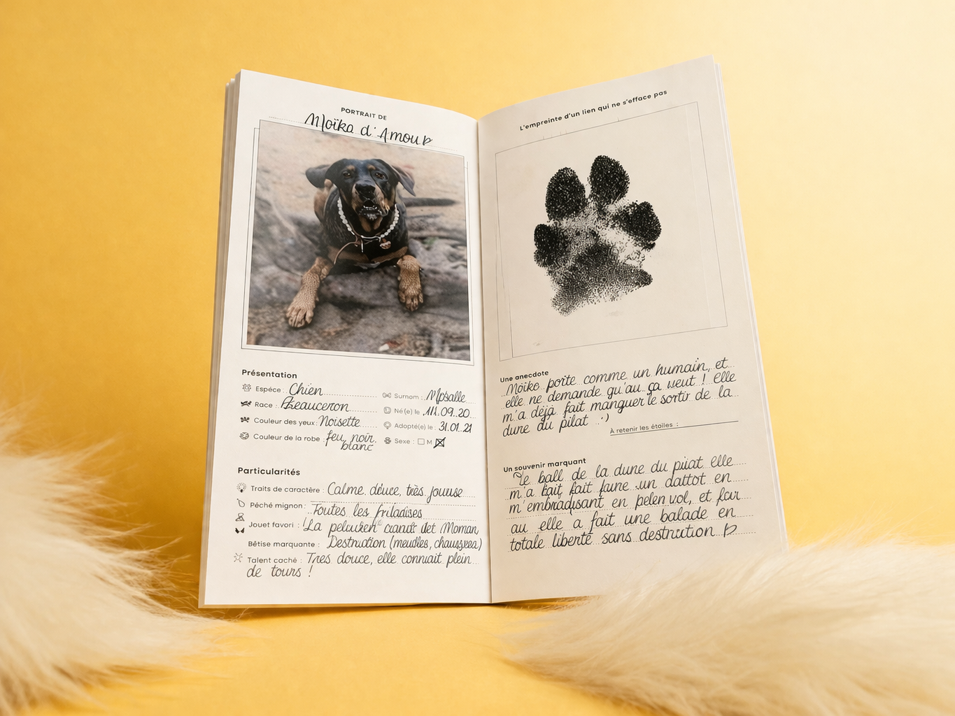 Livret de famille animalier XL