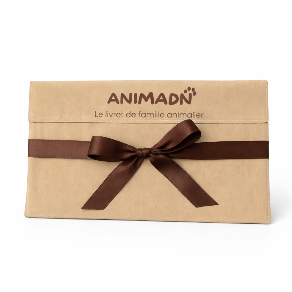 Pochette cadeau velours